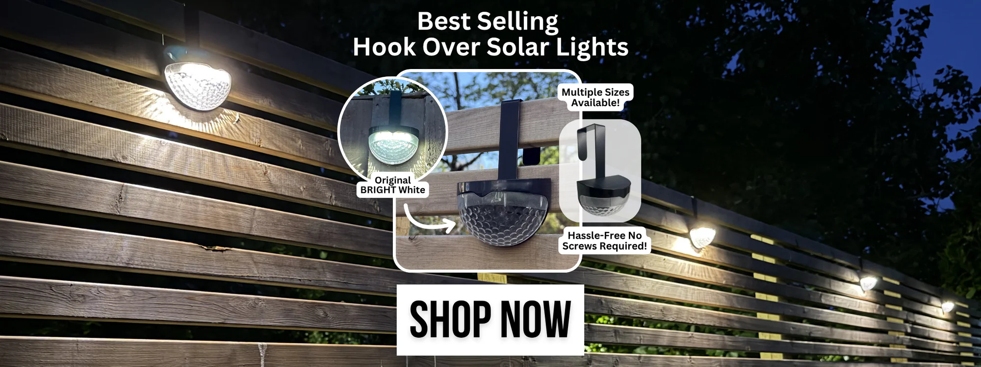 Illuminate Your Garden With Flory's